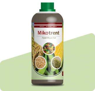 MIKOTRENT