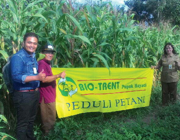 Hasil panen jagung 11 ton per ha, Amurang Barat, Minahasa Selatan, Sulawesi Utara