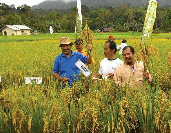 Panen 6,4 ton, Singkawang, Kalimantan Barat