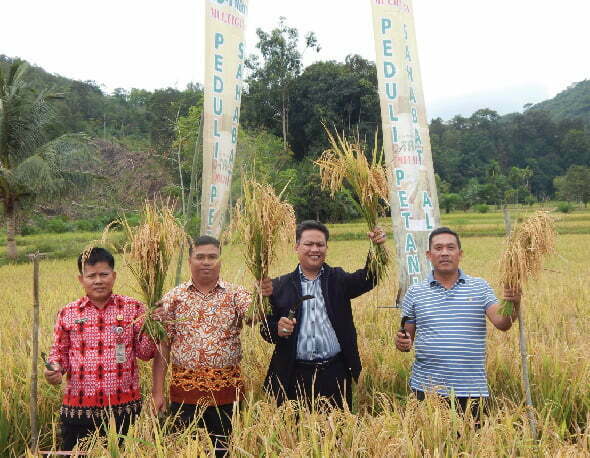 Panen 8,3 ton, Landak, Kalimantan Barat