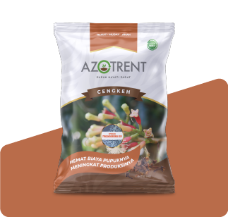 AZOTRENT JAGUNG